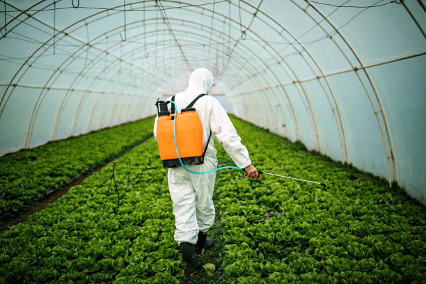 Professional Pest Control in Guin, AL