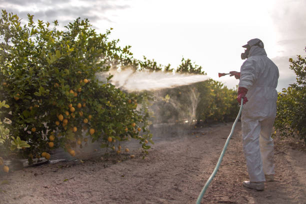 Best Pest Prevention Services  in Guin, AL