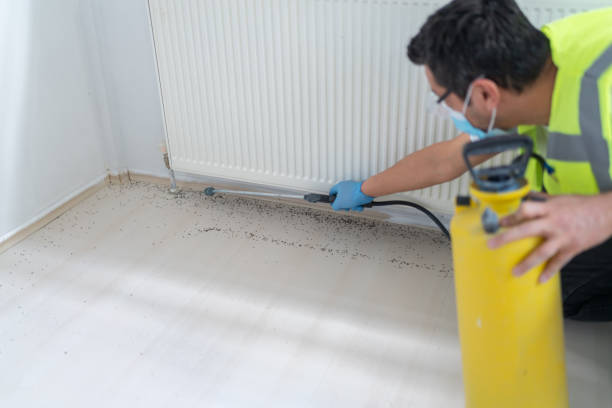 Best Best Pest Control Companies  in Guin, AL
